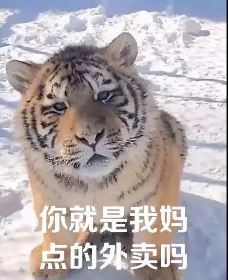 刘静林
