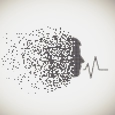 语音算法组