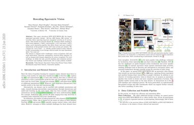 Rescaling Egocentric Vision