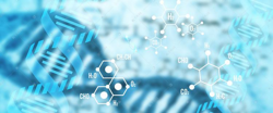 肠道微生物与免疫BIO标注数据集