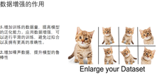 深度挖掘AI的图像分类能力！