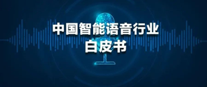 《2020-2021中国智能语音行业白皮书》发布