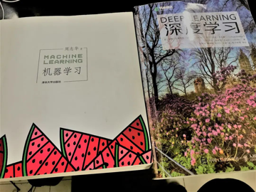 老潘的思考（AI部署、方向、就业）!